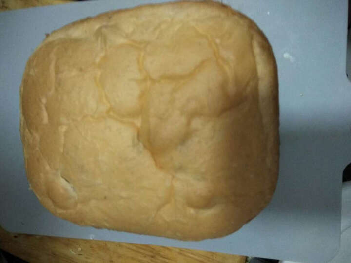 东菱(Donlim) 面包机 旋风烘烤 全自动撒果料和面 彩钢机身 DL-TM018 晒单图