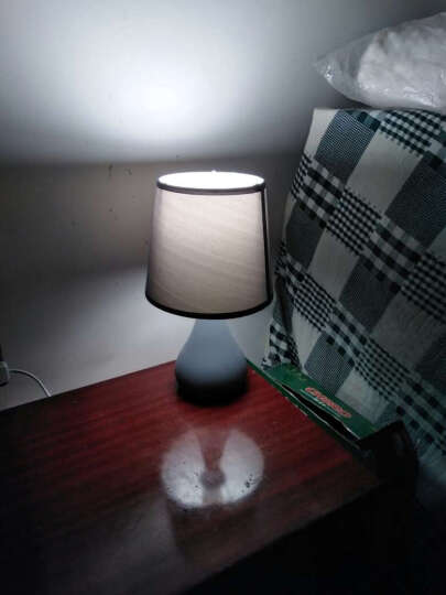 盏爱马卡龙粉色台灯卧室床头灯创意简约现代陶瓷灯具 北欧式温馨公主暖光小夜灯 马卡龙大号白色+LED遥控灯泡 晒单图