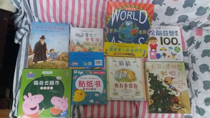格兰特船长的儿女/无障碍阅读学生版 教育部推荐语文新课标必读丛书 晒单图