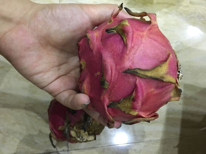 广西火龙果怎么样_广西火龙果多少钱_广西火