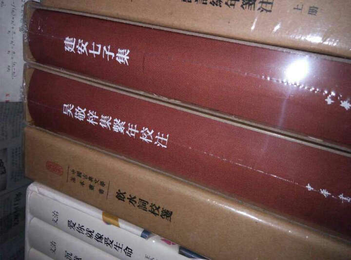 中国古典文学基本丛书:楚辞补注(典藏本) 晒单图