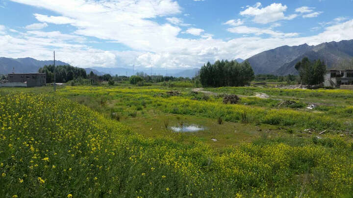 20寸轿车轮胎怎么样_20寸轿车轮胎多少钱_20