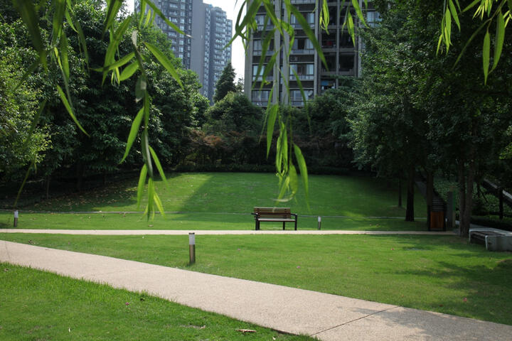 腾龙SP 35mm F\/1.8 Di VC USD:日本原产,原