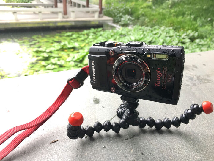 奥林巴斯(OLYMPUS)TG-4 超级运动相机 五重安全防护 显微、水下、延时等多种模式 WIFI分享 F2.0光圈 黑色 晒单图
