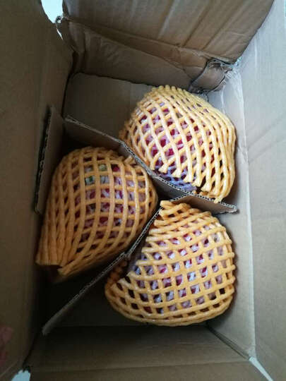 康乐欣火龙果怎么样_康乐欣火龙果多少钱_康