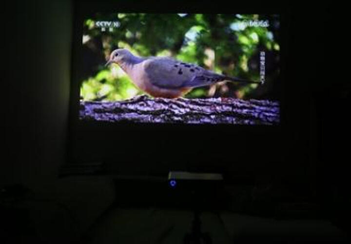 神画(PIQS) 便携投影仪家用办公商务手机无线wifi高清微型户外神话投影机 无屏电视3D投影便携 移动商务版 送原装支架+高清线 晒单图