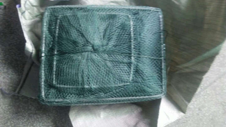 铁蟹怎么样_铁蟹多少钱_铁蟹价格,图片评价排