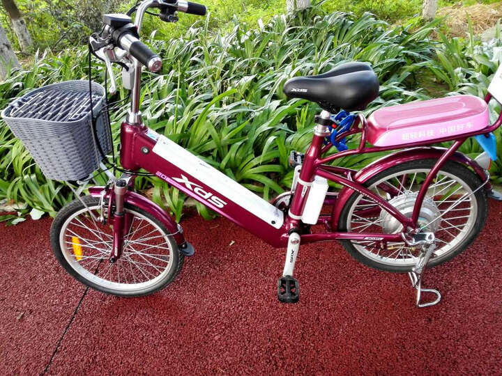 喜德盛(xds) 电动车48v锂电池铝合金通用代步20/24寸电瓶助力车 灵动9