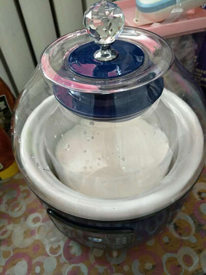 川秀十菌型10g:做出的酸奶超好喝,把榨汁机榨