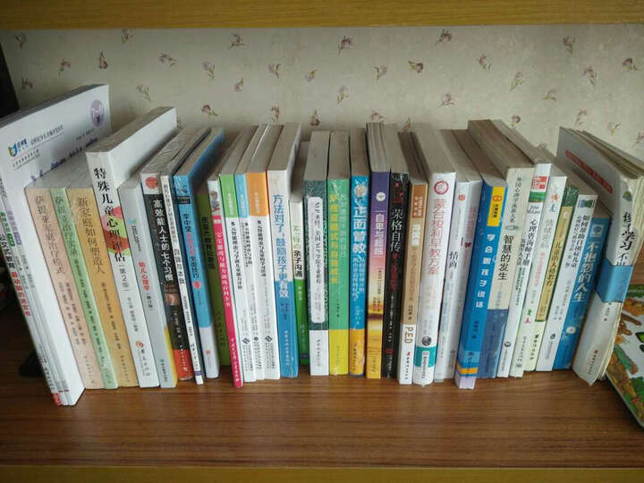 沙盘游戏中的治愈与转化:创造过程的呈现 晒单图