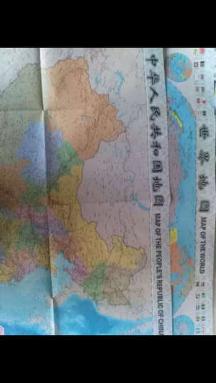 世界地图(折叠图 对开袋装 中英对照 865mm*575mm) 晒单图