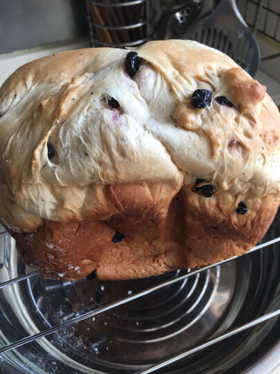 东菱（Donlim）面包机热风烘烤无糖全自动撒料蛋糕烤面包机家用早餐机和面机BM1352B-3C 晒单图