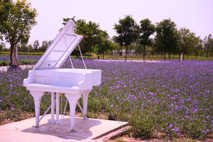 尼康D500:这款镜头嗯,就是拍大场面的时候特