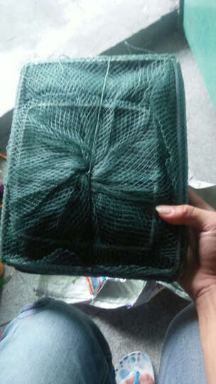 铁蟹怎么样_铁蟹多少钱_铁蟹价格,图片评价排