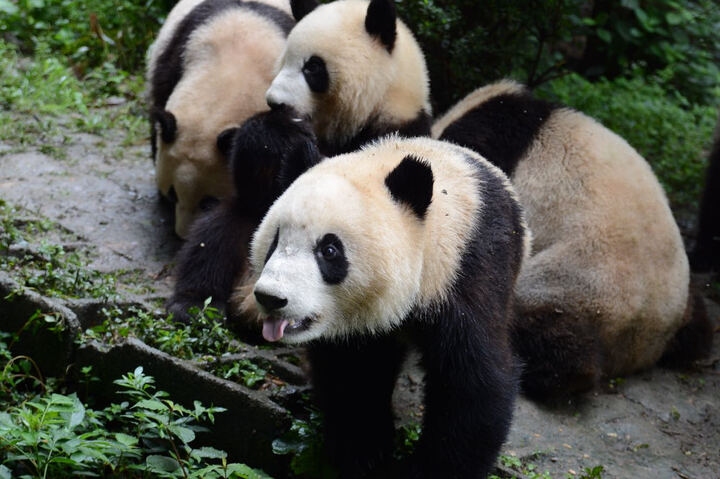 尼康D7100:给个好评。收到的时候,吓了一跳,