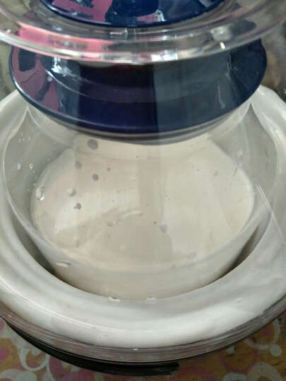 川秀十菌型10g:做出的酸奶超好喝,把榨汁机榨