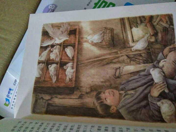 曹文轩经典作品: 草房子(世界著名插画家插图版) 晒单图