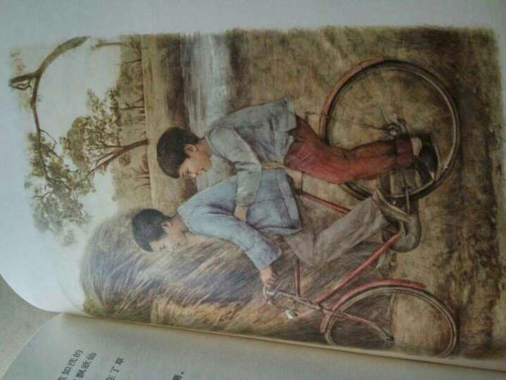 曹文轩经典作品: 草房子(世界著名插画家插图版) 晒单图