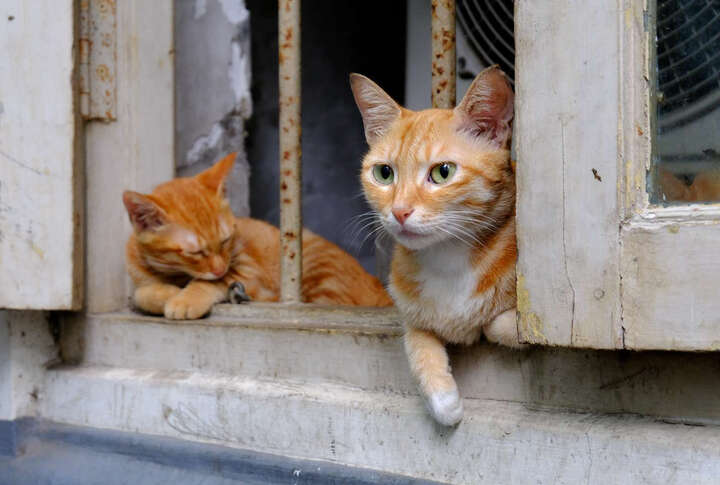 富士X-T20 (XC 16-50II):由于资金问题选择了1