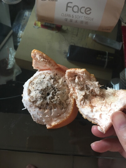 南非红西柚怎么样_南非红西柚多少钱_南非红