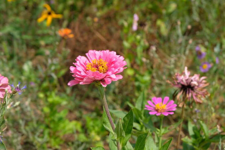 富士X-T20 (XC 16-50II):摄影小白,自动模式下