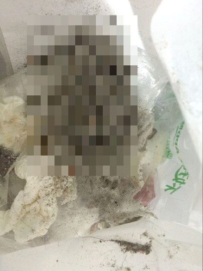 莱尔克斯(LIECTROUX) 德国扫地机器人 智能家用全自动擦地拖地机器人吸尘器2D地图 扫拖一体 黑色(APP智控) 晒单图