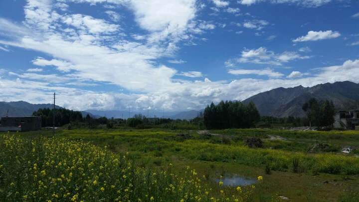 20寸轿车轮胎怎么样_20寸轿车轮胎多少钱_20