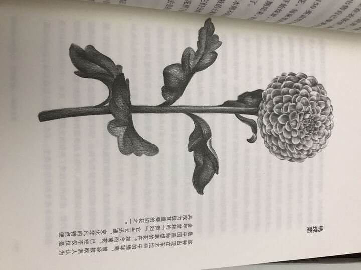 鲜花帝国:鲜花育种、栽培与售卖的秘密 晒单图