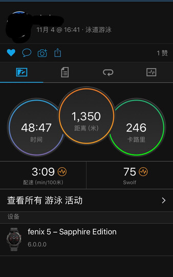 佳明(GARMIN)户外手表 Fenix5 中文蓝宝石玻璃镜面DLC版GPS多功能登山跑步智能运动表游泳腕表光学心率 晒单图