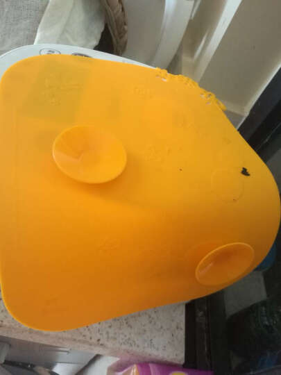 迪士尼（Disney）维尼儿童硅胶防滑餐垫 宝宝魔术吸盘碗垫 婴幼儿吸盘防翻餐垫(萌动黄) 晒单图