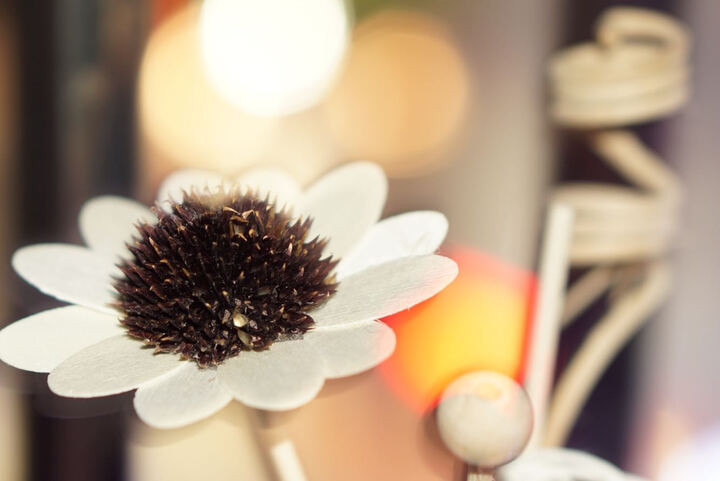 索尼SEL100F28GM:买来套A6000机子上,在家