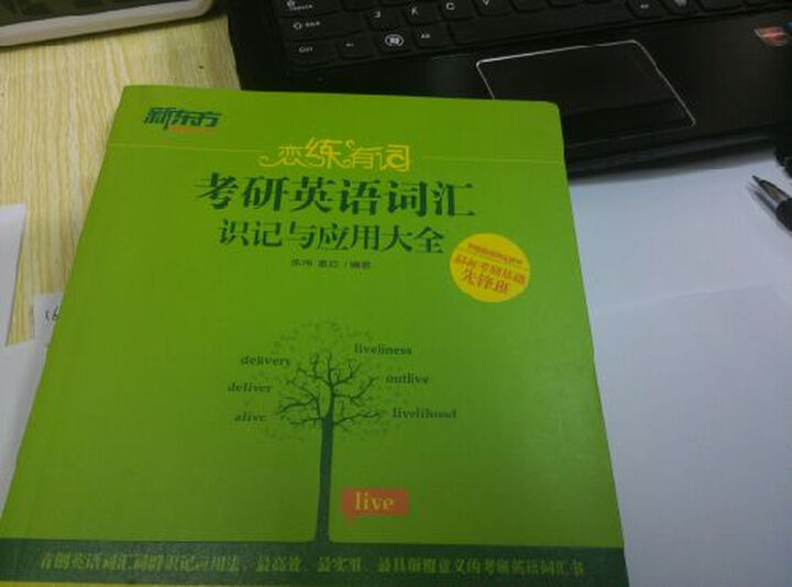 预售恋练有词新东方2017考研英语词汇识记与