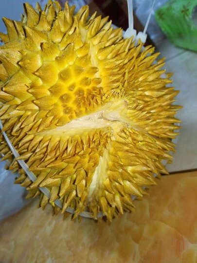 京东生鲜泰国进口金枕头榴莲 1个 新鲜水果:快