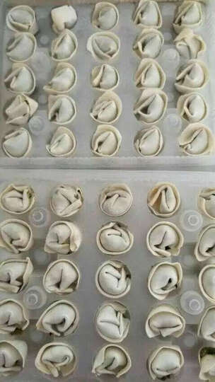 湾仔码头速冻云吞 鲜美虾皇口味 600g:非常好