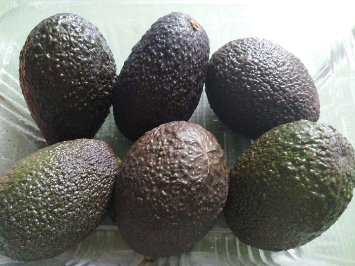 京东生鲜6个装:牛油果从广州发过来,第二天就