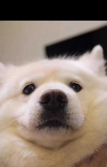 OPPOR11:手机很好用速度快支持国产。京东