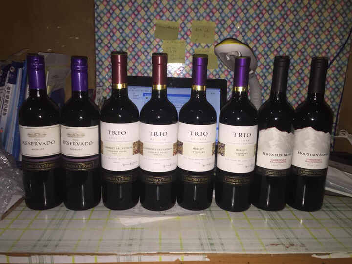 京东海外直采 智利进口红酒 干露三重奏赤霞珠