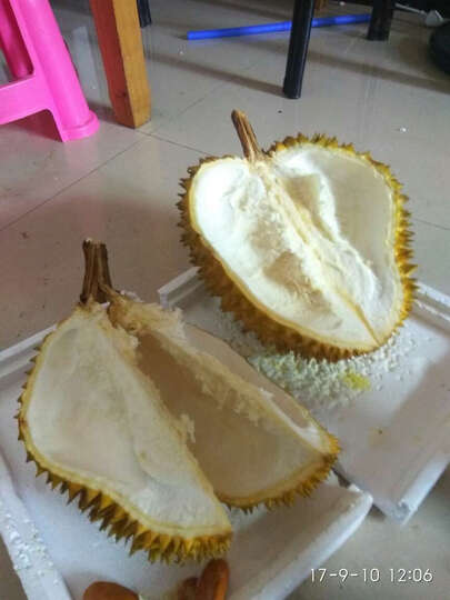 京东生鲜泰国进口金枕头榴莲 1个 新鲜水果:第