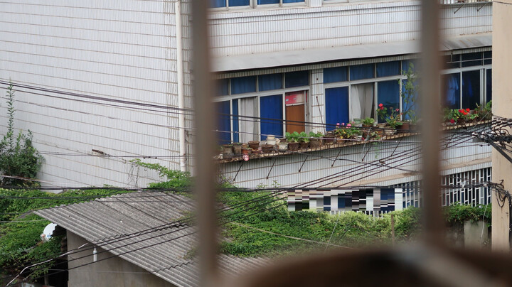佳能(Canon)PowerShot G7 X Mark II 数码相机 Vlog视频拍摄 晒单图