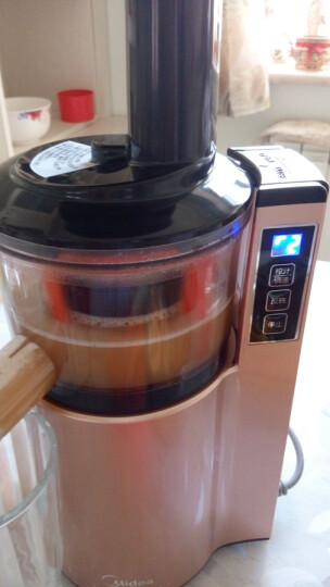 美的（Midea）原汁机 可做冰激凌 家用榨汁机WJS1251E 晒单图