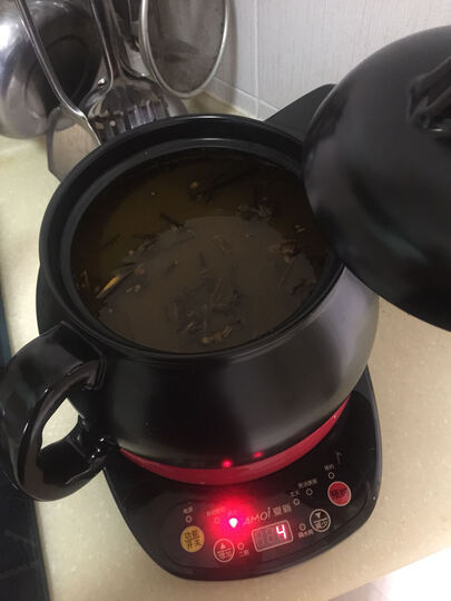 炖中药锅怎么样_炖中药锅多少钱_炖中药锅价