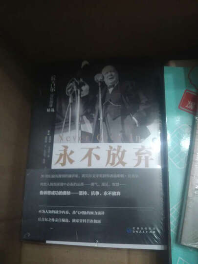永不放弃——丘吉尔最佳演讲精选(上、下册) 晒单图
