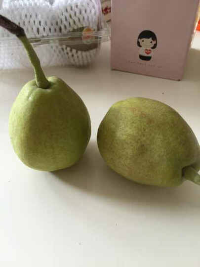 【天天果园】新疆库尔勒香梨 1斤 正宗库尔勒