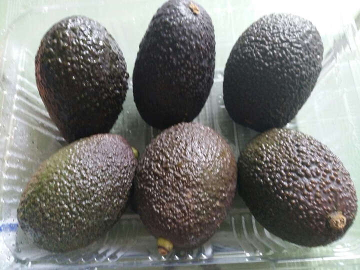 京东生鲜6个装:牛油果从广州发过来,第二天就