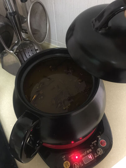 炖中药锅怎么样_炖中药锅多少钱_炖中药锅价