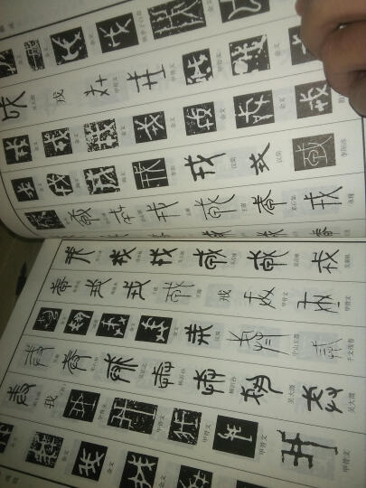 中国篆书大字典（上下） 晒单图