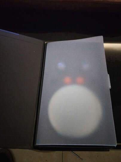 漫步者W295BT:首先要说的京东的售后是无可