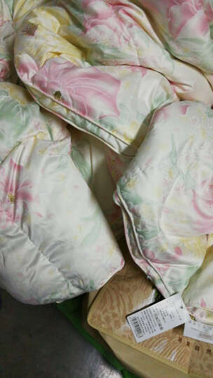 富安娜家纺被子 羽绒被芯冬被白鹅绒被 伊琳娜