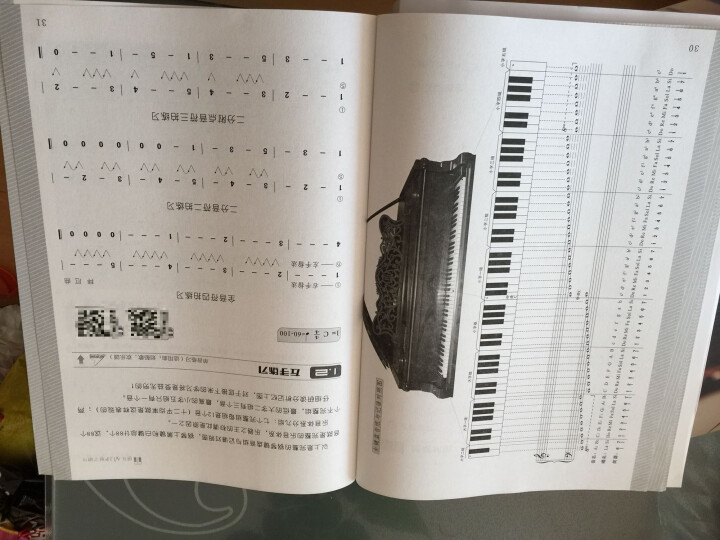 成年人学简谱钢琴：一看就懂的钢琴自学视频教程（附光盘） 晒单图