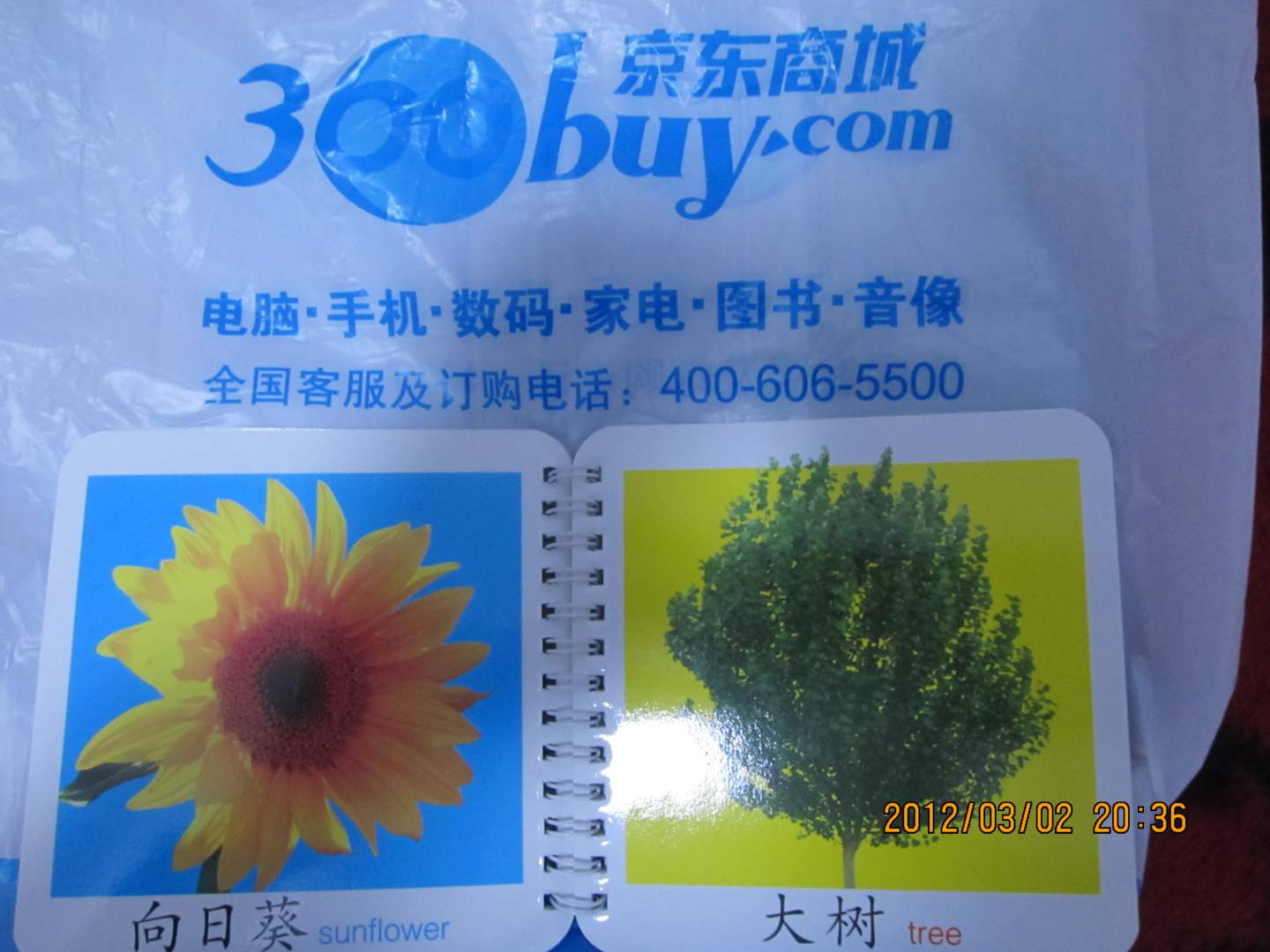撕不爛版寶寶開(kāi)始學(xué)：認(rèn)物（上） 曬單實(shí)拍圖